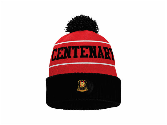 Cwm Albion Bobble Hat