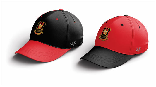 Cwm Albion Baseball Cap